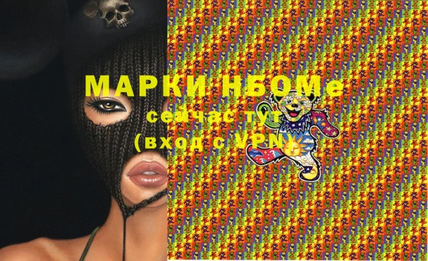 индика Алзамай