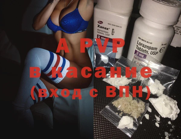 индика Алзамай