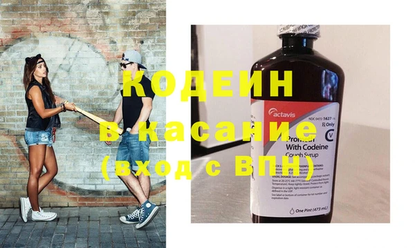 индика Алзамай