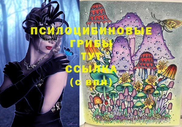 стафф Алексеевка