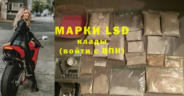 индика Алзамай