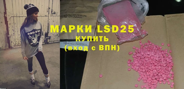 индика Алзамай