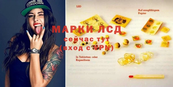 трава Карпинск