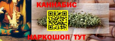 индика Славгород