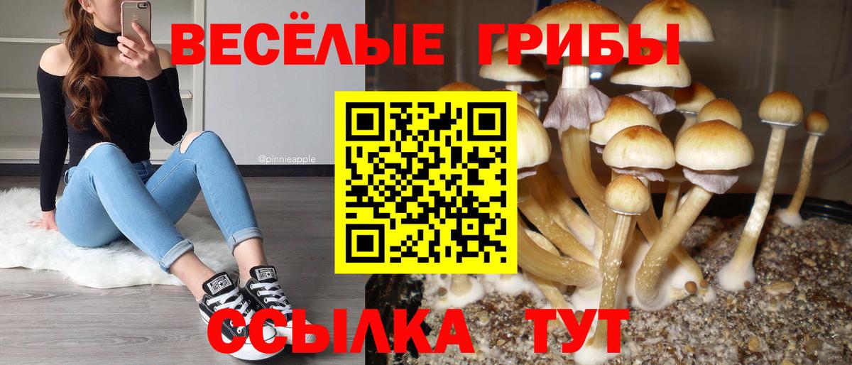 Псилоцибиновые грибы Magic Shrooms  Псилоцибиновые грибы мухоморы  Вход с VPN  Сарапул 